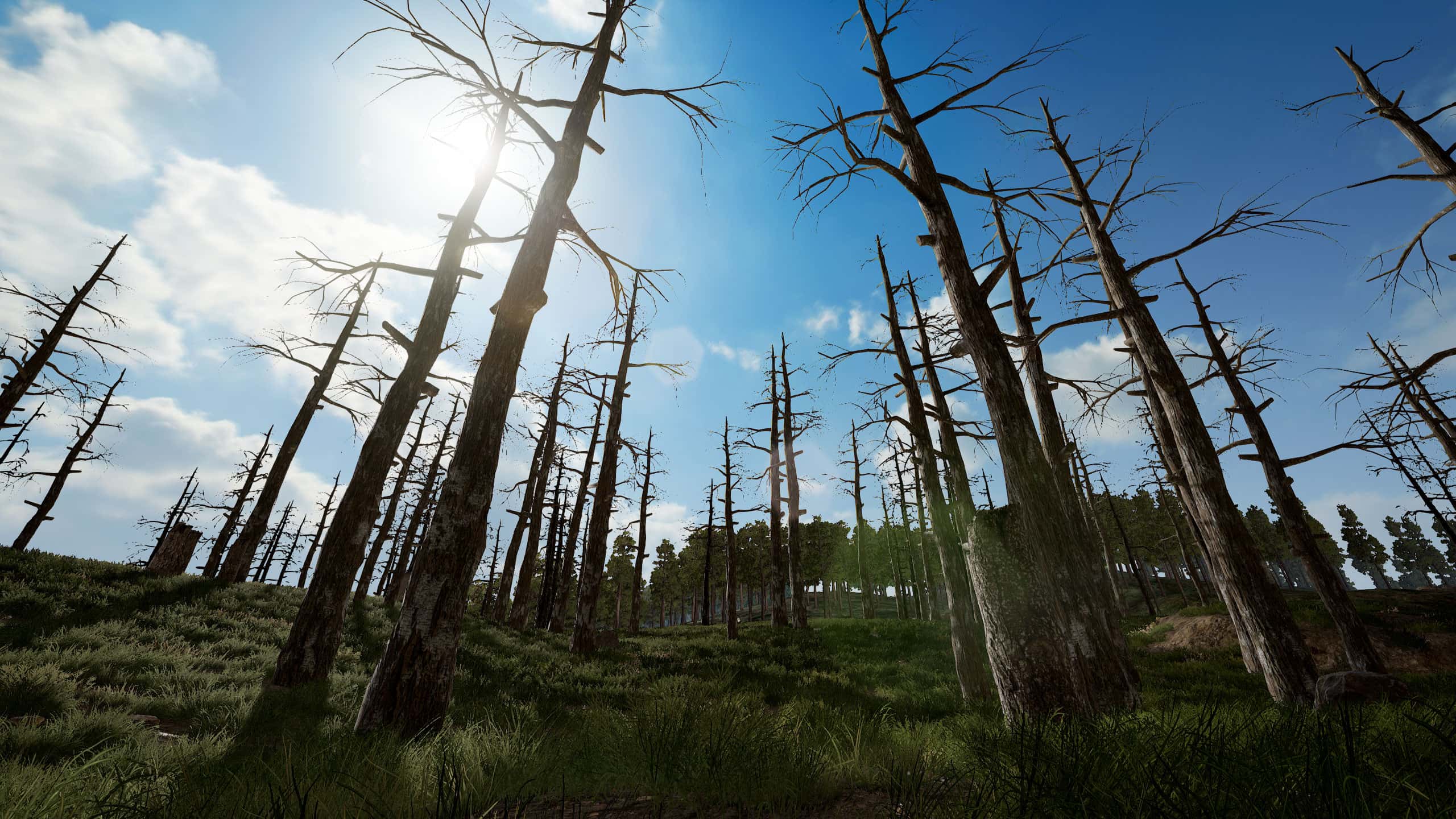MAP - PUBG: BATTLEGORUNDS